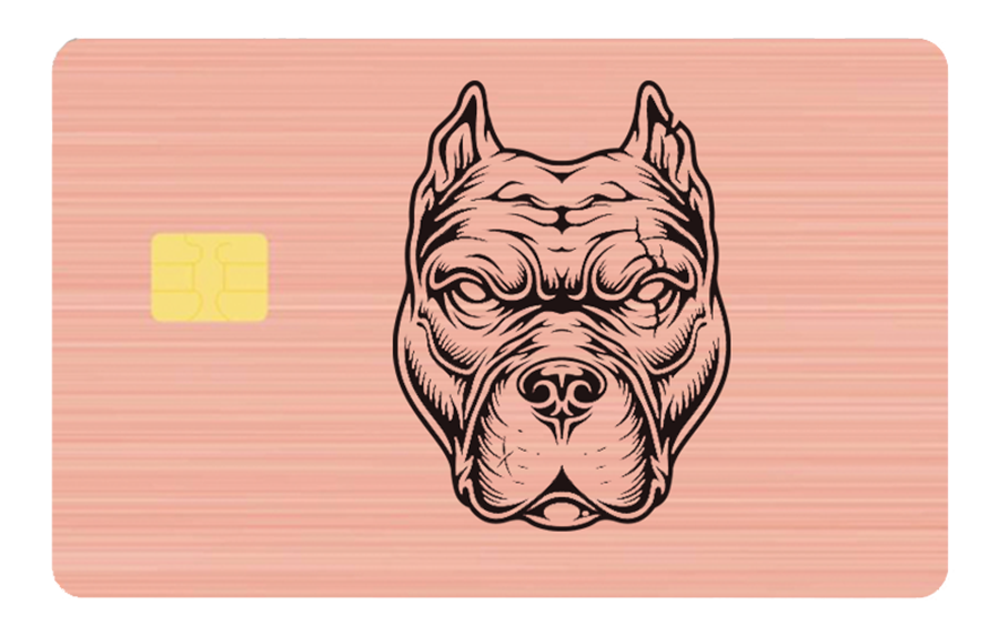 Pitbull Card